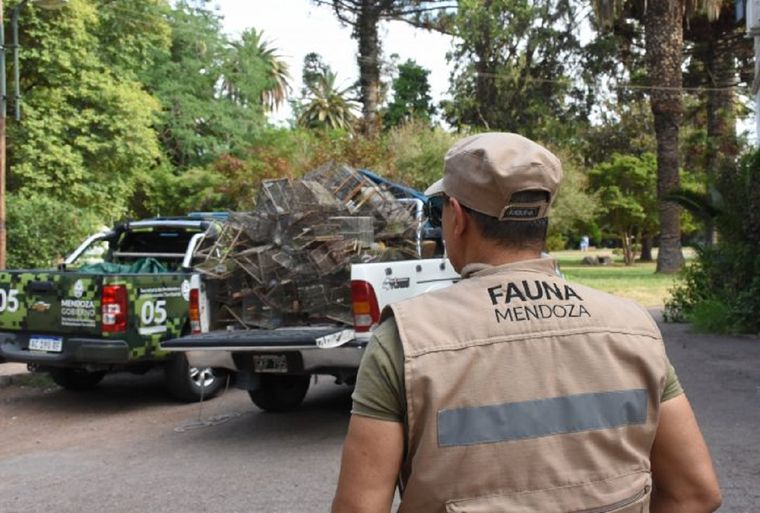 Foto: Prensa Mendoza