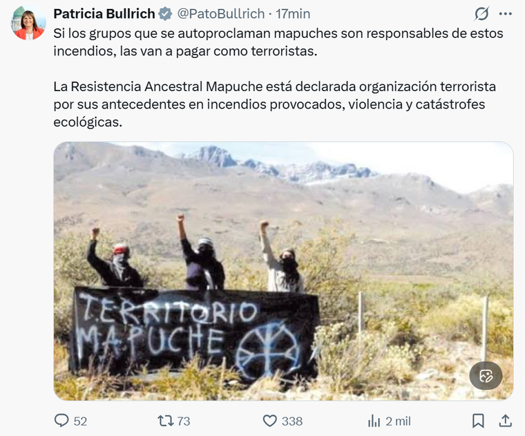 El posteo de Patricia Bullrich contra la RAM tras los incendios en Chubut. El posteo de Patricia Bullrich contra la RAM tras los incendios en Chubut.