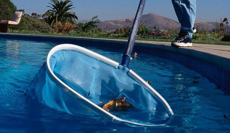 Los mejores trucos para tener la pileta impecable en verano. Los mejores trucos para tener la pileta impecable en verano.