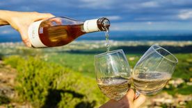 Yo no tomo vinos blancos