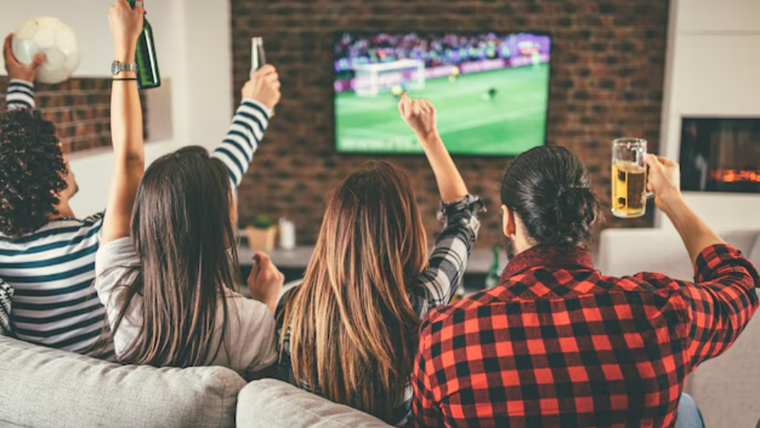 La campaña Palo x Palo promete entregar millones hasta fin de año Foto: Freepik