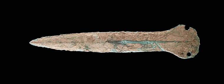 El descubrimiento lo hizo un padre con sus dos hijos. El descubrimiento lo hizo un padre con sus dos hijos.