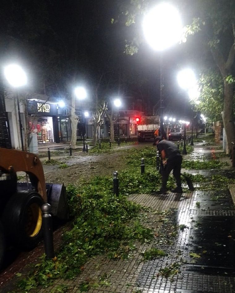 El reporte de daños tras la feroz tormenta de granizo en San Rafael. Foto: Municipalidad de San Rafael