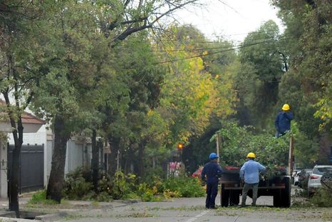 Ya rige la nueva ley de arbolado público en Mendoza. Ya rige la nueva ley de arbolado público en Mendoza.