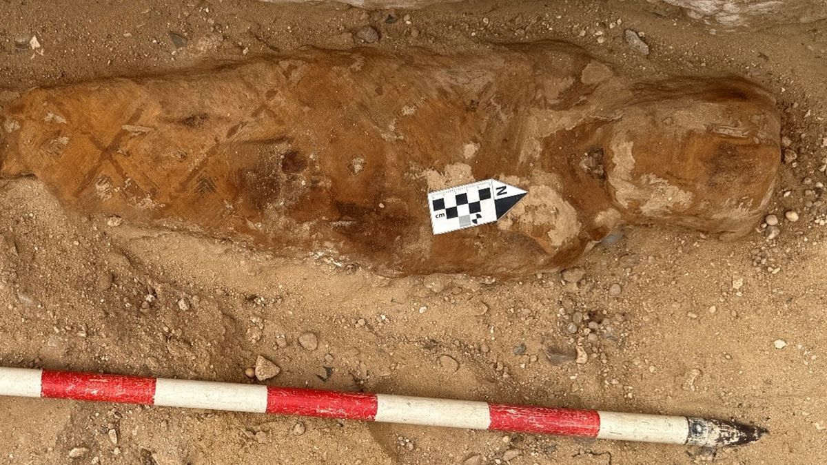 Descubrimiento en Egipto: desenterraron una estatua que pertenecería al faraón Ramsés II