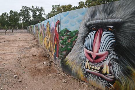 Un gran mural divide la zona abierta al público de la reservada para los mil animales que viven en el Ecoparque. Un gran mural divide la zona abierta al público de la reservada para los mil animales que viven en el Ecoparque.