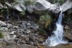 Este pequeño lugar es majestuoso. Foto: Shutterstock