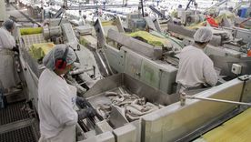 La industria pesquera viene atravesando, desde hace un largo tiempo, una situación difícil por problemas de rentabilidad y la pesca ilegal Foto: NA