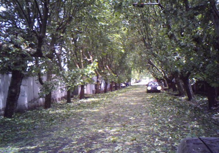 Granizó en algunas zonas de Mendoza anoche. Foto: MDZ