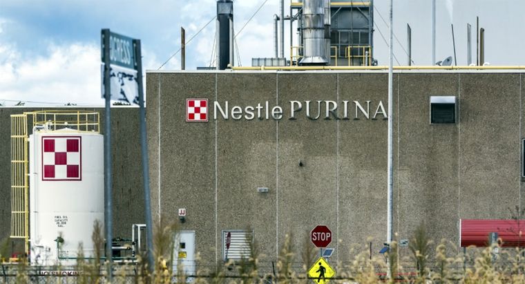 Foto: https://www.rte.ie/