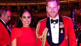 Meghan Markle y el príncipe Harry cobraron más notoriedad cuando abandonaron la corona británica. Foto: Instagram @sussexroyal