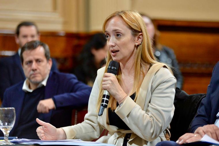 La senadora Sagasti expuso en el Senado Foto: Prensa Frente de Todos