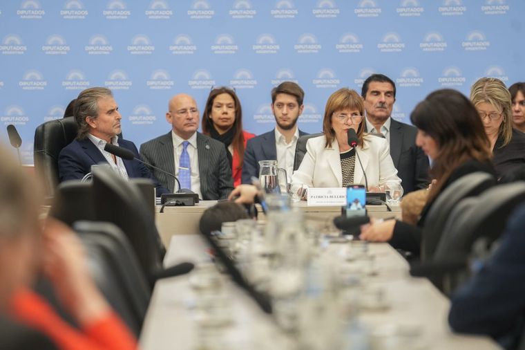 La ministra de Seguridad, Patricia Bullrich, en la comisión de Presupuesto y Hacienda  La ministra de Seguridad, Patricia Bullrich, en la comisión de Presupuesto y Hacienda