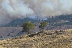 Un hombre fue detenido este martes sospechado de ser autor del delito de incendio culposo agravado en Yacanto y El Durazno, en la provincia de Córdoba. Foto: Gentileza Luis Tortolo