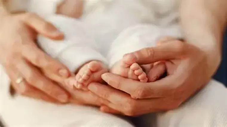 Observo a diario que las crisis más profundas de nuestra época no son las económicas ni las políticas, sino antropológicas.