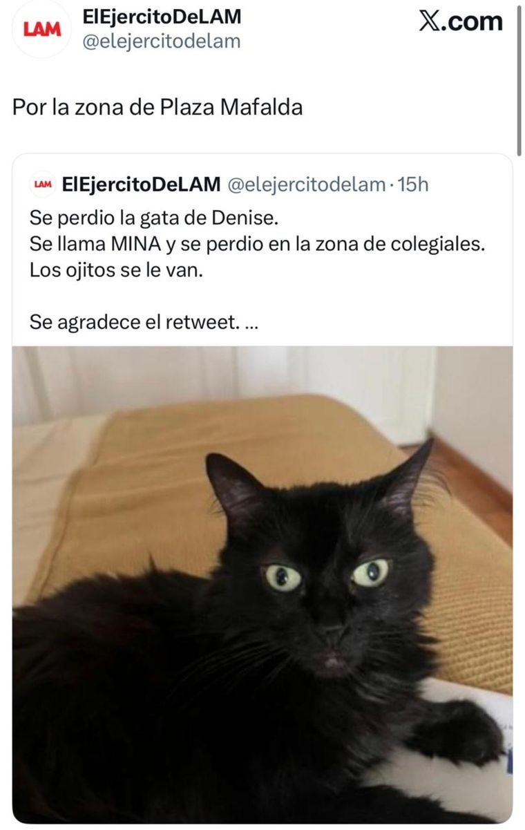 Esta es la gata de Denise Dumas. Esta es la gata de Denise Dumas.