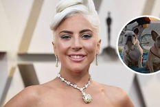 Lady Gaga mantiene una fuerte disputa con la mujer que le devolvió sus bulldogs franceses.