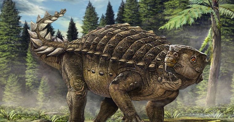 El Anlylosaurus Spicomellus Afer se remonta entre 167 y 163 millones de años atrás