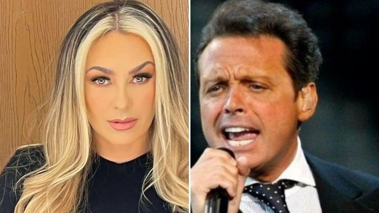 Luis Miguel y Aracely Arámbula La ex pareja no muestra a sus hijos. Foto: Archivo