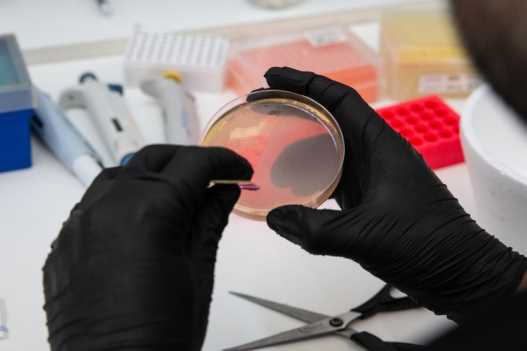 El proyecto recibirá un apoyo financiero de 330 mil dólares por dos años