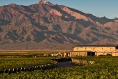 Bodega Corazón de Sol.
