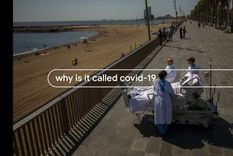 lo mas buscado por los argentinos en google durante el 2020 lo mas buscado por los argentinos en google durante el 2020