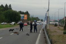 mendoza, entre las provincias con mas victimas por accidentes viales