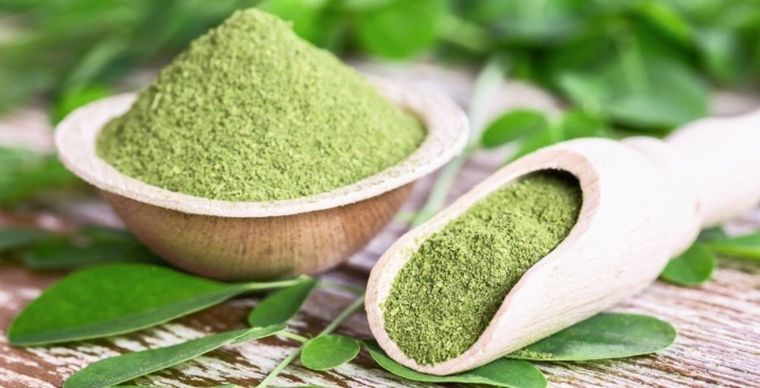 La moringa tiene diversas propiedades beneficiosas pars la salud Foto: Shutterstock