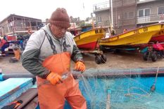 Guillermo selecciona los pescados y ordena la red, luego de estar varias horas en Pacífico adentro. Foto: Pablo Icardi