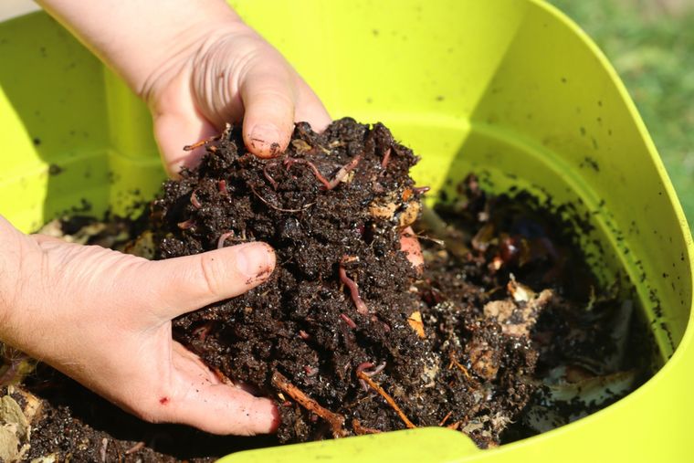 Jardín Recetas de fertilizantes orgánicos Foto: Shutterstock