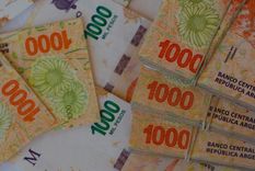 La ayuda se entrega según la terminación del DNI Foto: Shutterstock