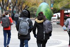 El avance del frente polar se sintió en toda la Patagonia y el centro del país, con marcas bajo cero en varias ciudades. Foto: ALF PONCE MERCADO / MDZ