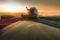 El acuerdo amplía significativamente el acceso del Mercosur al mercado de la Unión Europea.