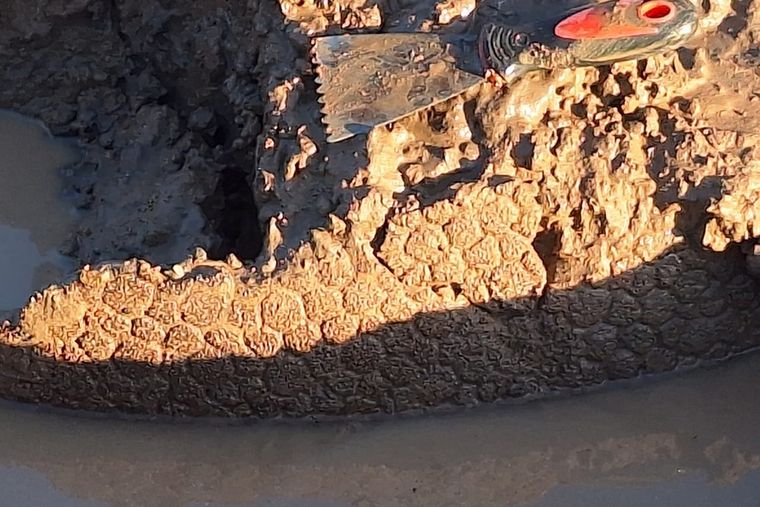 Los restos fósiles del gliptodonte se encontraban en el cauce del río Ctalamochita. Foto: Gobierno de Córdoba