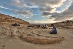 resuelven el misterio del cementerio de ballenas en chile