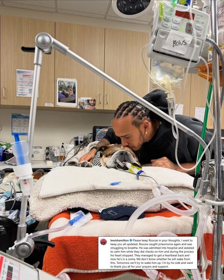 Lewis Hamilton dejó las pruebas de Ferrari en Mugello para acompañar a su perro Roscoe. Lewis Hamilton dejó las pruebas de Ferrari en Mugello para acompañar a su perro Roscoe.