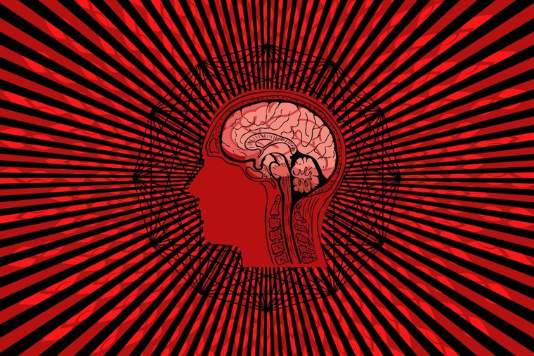 Un test visual apto para mentes brillantes ¿puedes encontrar los rostros ocultos? Test visual Foto: Canva