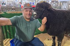En la Feria Estatal de Iowa, muchas de las conversaciones giraron en torno a Trump y los aranceles (en la foto: el asistente John Wilson con Judah, el carnero) En la Feria Estatal de Iowa, muchas de las conversaciones giraron en torno a Trump y los aranceles (en la foto: el asistente John Wilson con Judah, el carnero)