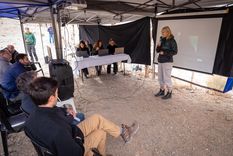 audiencias publicas: la esencia por encima de la escena