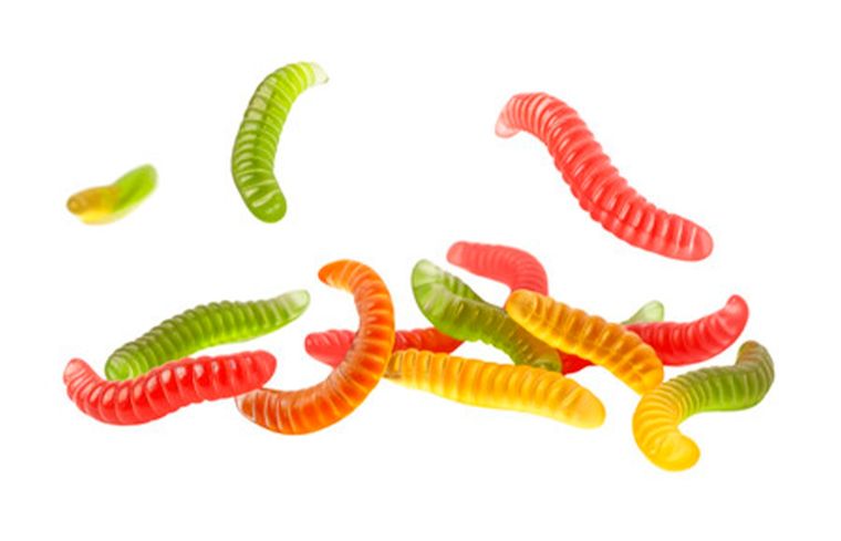 Identificar las plagas de gusanos en la casa es clave para poder lidiar con ellos correctamente. Foto: PNG Kingdom - Adobe Stock