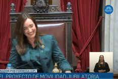 Mayans hizo tentar a Villarruel Foto: Senado TV