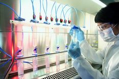 Cómo un viajero del siglo XVII propagó una mutación genética que causa cáncer 400 años después