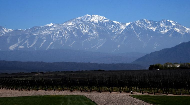 Foto: ALF PONCE MERCADO / MDZ