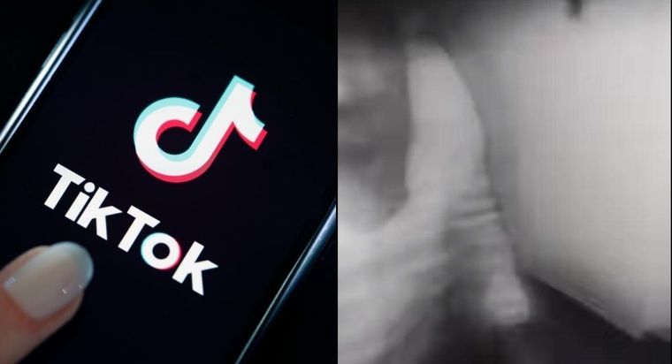 TikTok, viral, video 1444