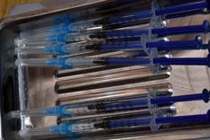 Foto: ALF PONCE MERCADO / MDZ