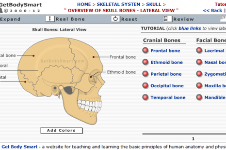 6 webs para aprender Anatomía y Fisiología