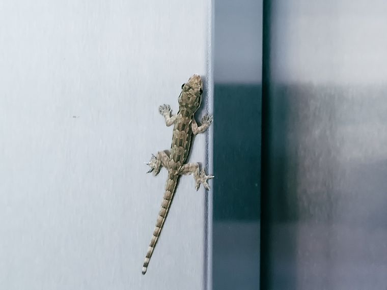 Un sueño para analizar. Foto: Shutterstock