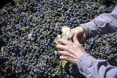 Las economías regionales atraviesan una dura situación en la actualidad Foto: Archivo MDZ Las economías regionales atraviesan una dura situación en la actualidad Foto: Archivo MDZ