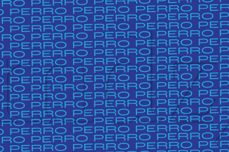 ACERTIJO VISUAL ACERTIJO VISUAL, RETO VISUAL, PALABRA Foto: MDZ ONLINE