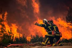 incendios cerca de los vinedos preocupan a una importante region vitivinicola